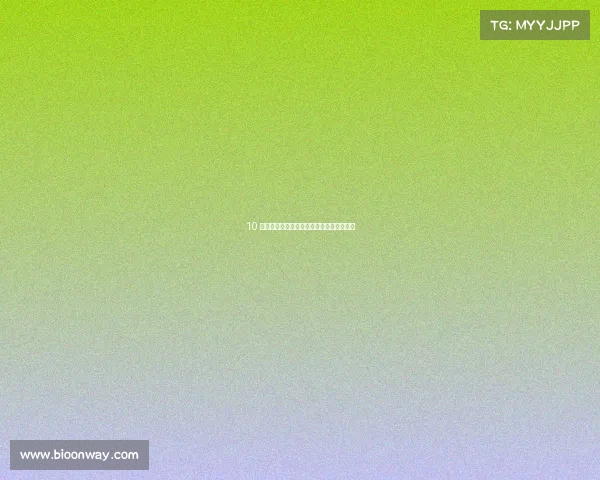 10 款可直接从经销商处购买的定制旅行摩托车